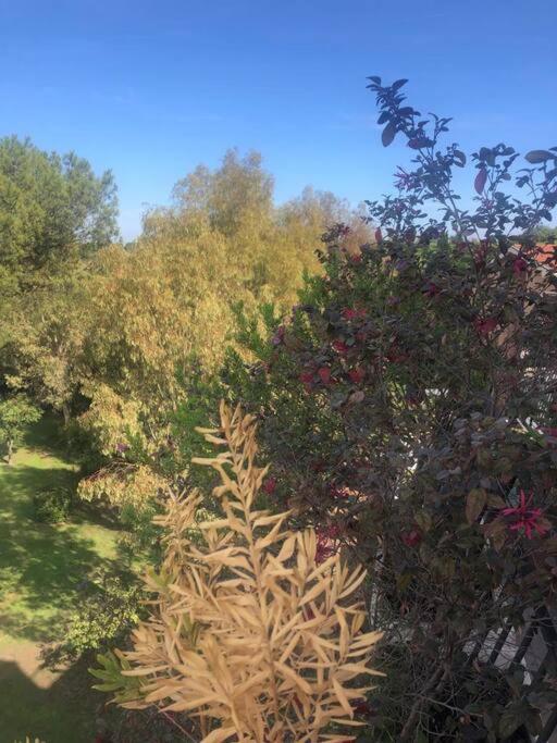 Willa Casa Incantevole Con Vista Parco Appia Antica Rzym Zewnętrze zdjęcie