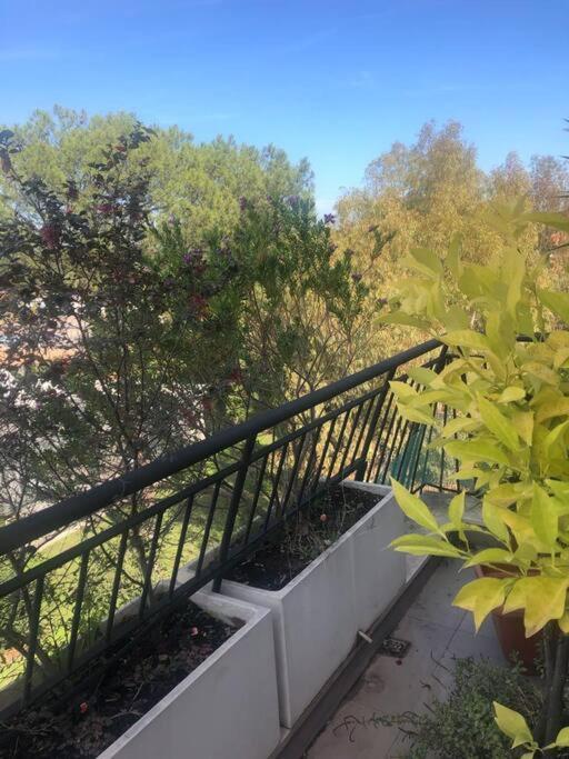 Willa Casa Incantevole Con Vista Parco Appia Antica Rzym Zewnętrze zdjęcie